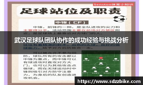 武汉足球队团队协作的成功经验与挑战分析