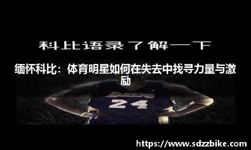 678官网