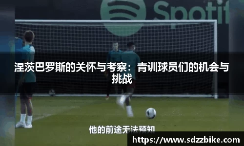 678体育
