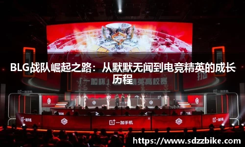 BLG战队崛起之路：从默默无闻到电竞精英的成长历程